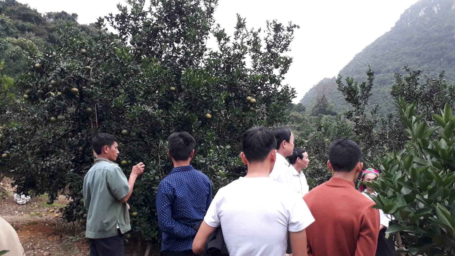 Đoàn đại biểu dân tộc cờ lao thăm mô hình tại thôn Vĩnh Sơn